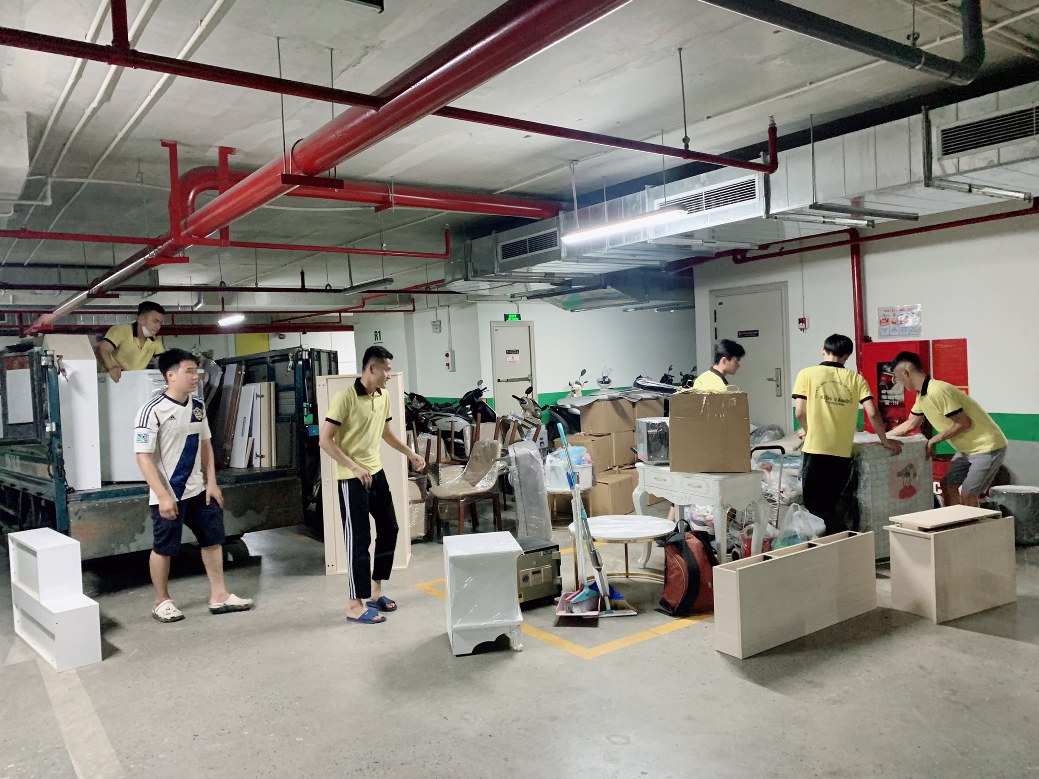 Chuyển Nhà Kiến Vàng Có Tốt Không? Đánh Giá Chi Tiết